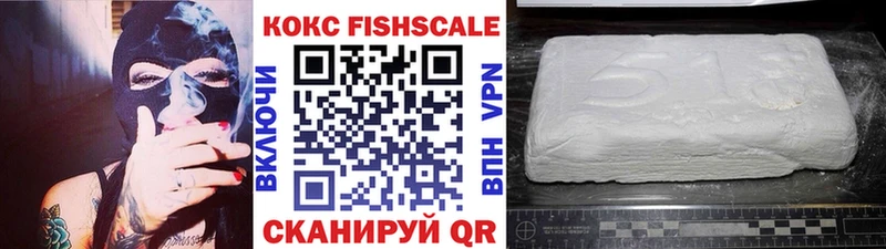 Купить закладки  Фокино  Cocaine Fish Scale 