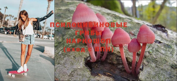 кокс Заводоуковск